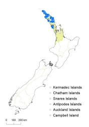 Veronica diosmifolia distribution map based on databased records at AK, CHR & WELT.
 Image: K.Boardman © Landcare Research 2022 CC-BY 4.0